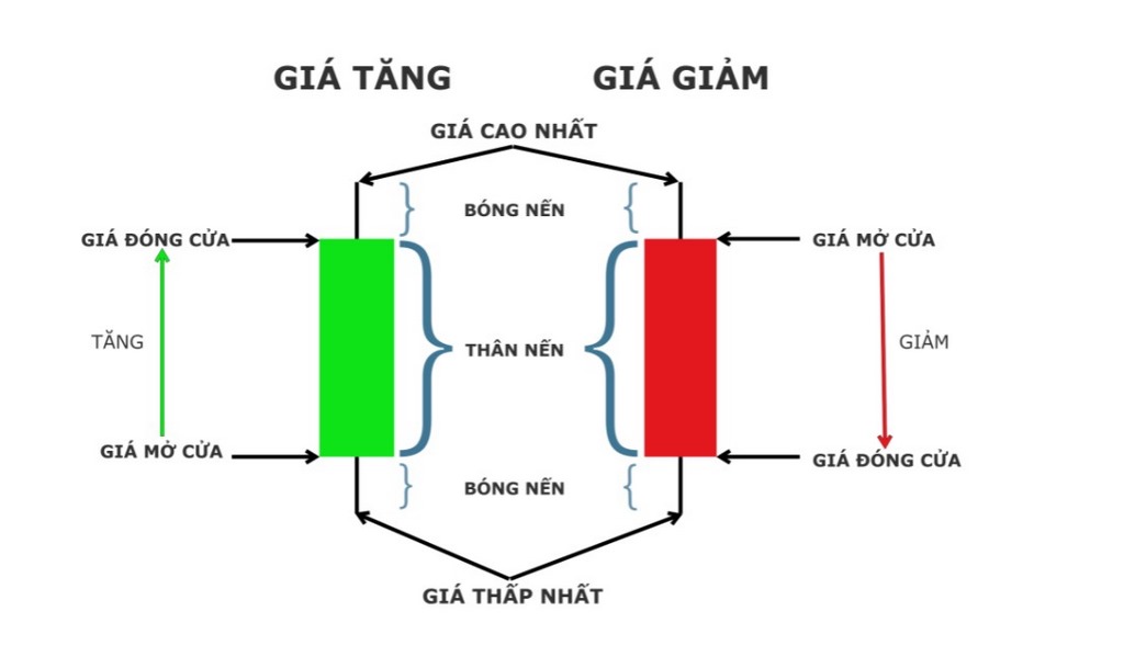 Biểu đồ hình nến là gì? Biểu đồ nến xác định xu hướng