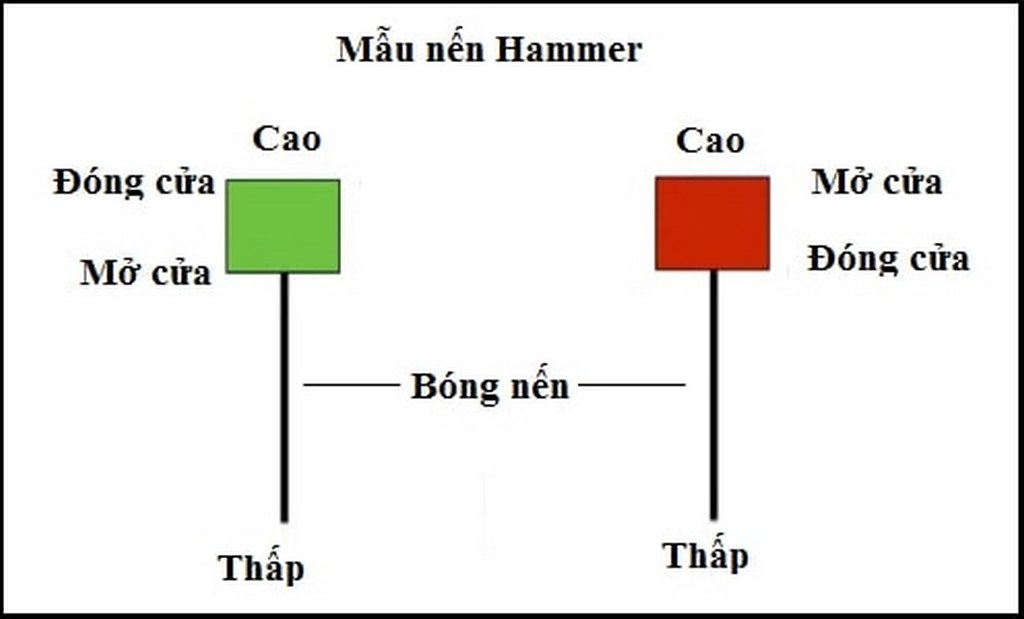 Biểu đồ nến là gì và cách đọc biểu đồ hình nến đơn giản