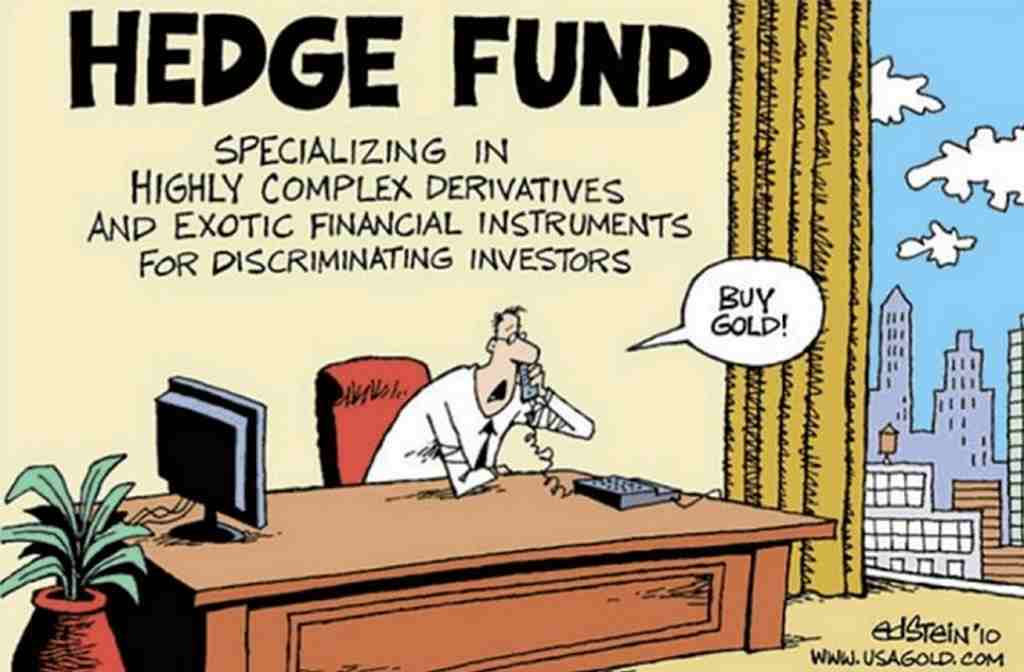 Hedge fund