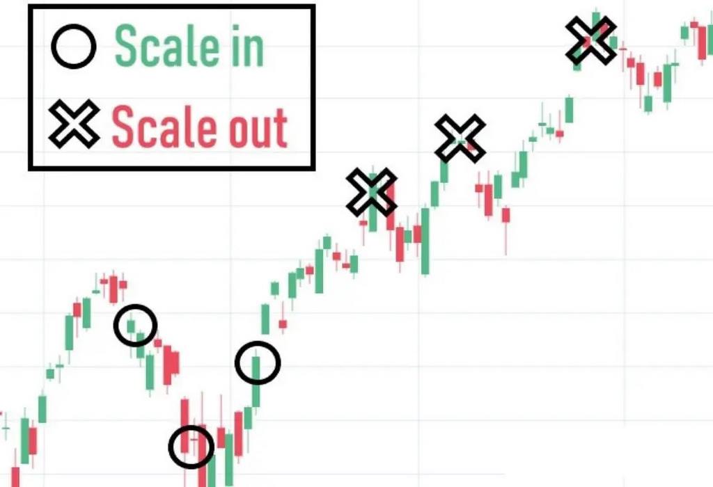 cách dùng lệnh scale