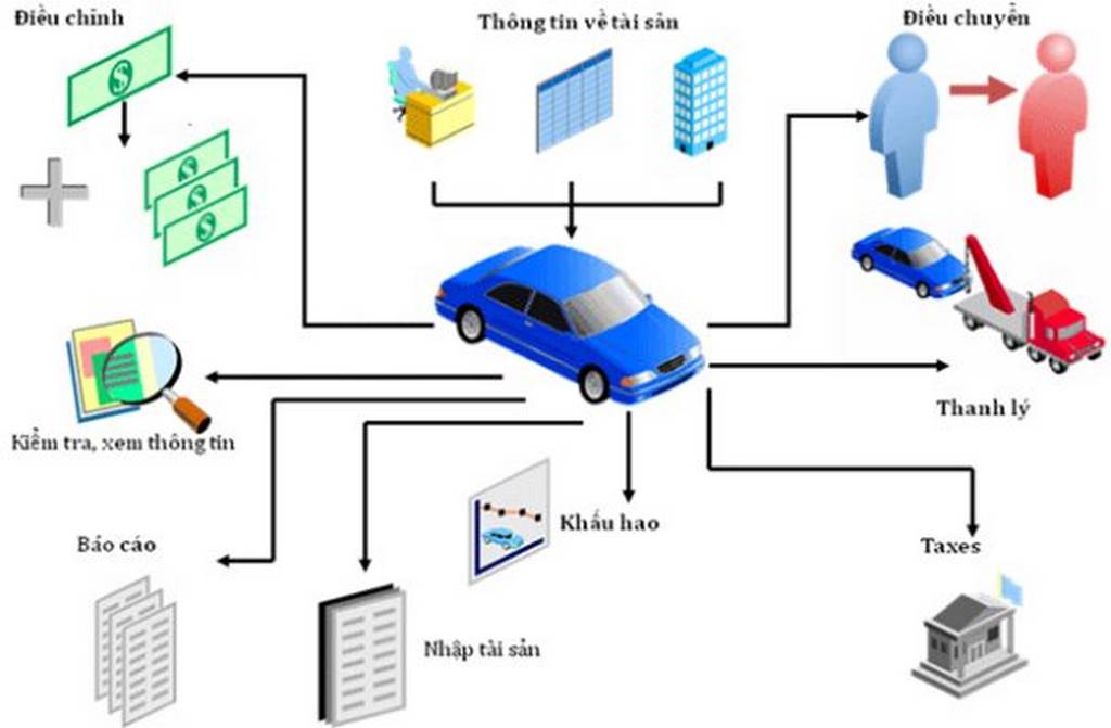 tài sản cố định